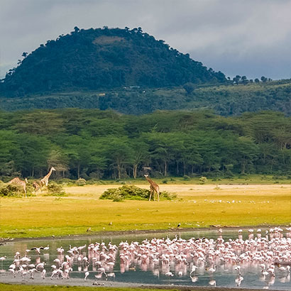 Magical Naivasha